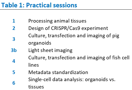 Table 1 Image.png
