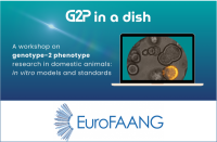 EuroFAANG main web image.png